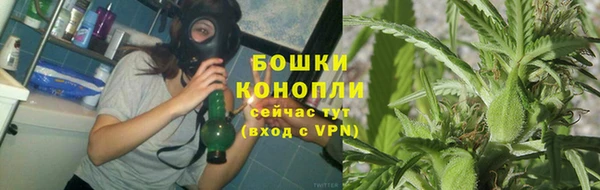 спиды Бородино