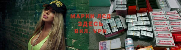 крисы Бугульма