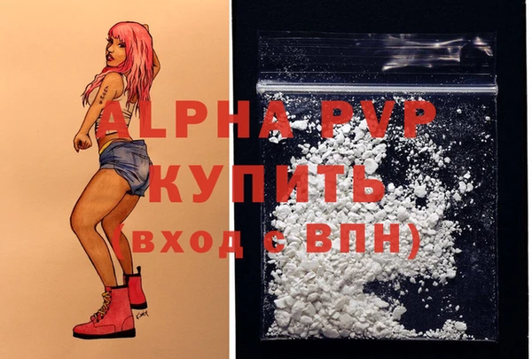 спиды Бородино