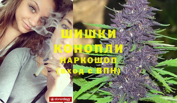 спиды Бородино