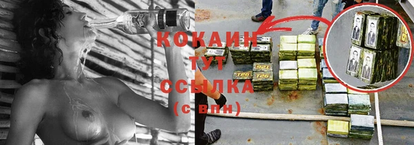 спиды Бородино