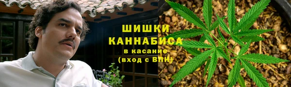 спиды Бородино