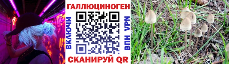 Галлюциногенные грибы Psilocybe  ОМГ ОМГ ONION  Кемь  где найти  